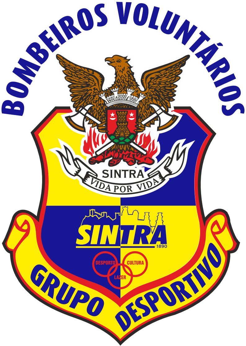 Logo_BVS_GD